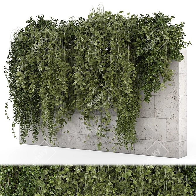 Concrete Wall Hanging Plant Set 3D model image 1