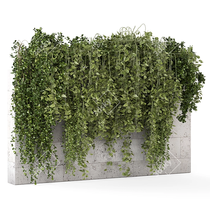 Concrete Wall Hanging Plant Set 3D model image 4