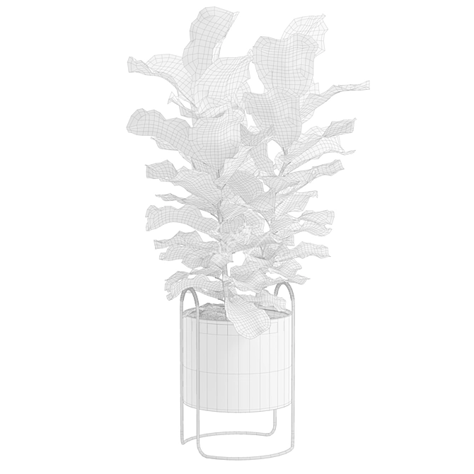 Ficus Lyrata: Dark Planter Décor 3D model image 3