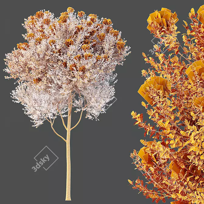 Teak Tectona Grandis HQ Tree 3D model image 4