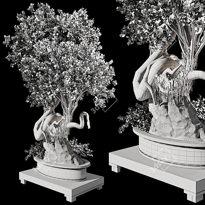 Plant & Decor 3D Models Collection 3D model image 6