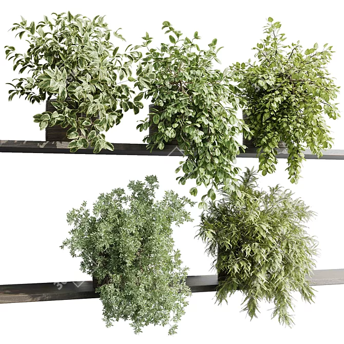 Hanging Plant Collection Indoor Decor 3D model image 2