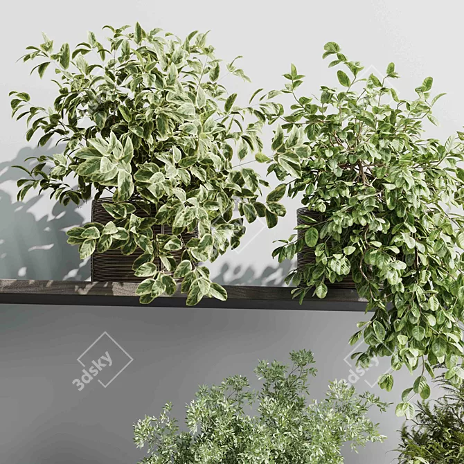 Hanging Plant Collection Indoor Decor 3D model image 4