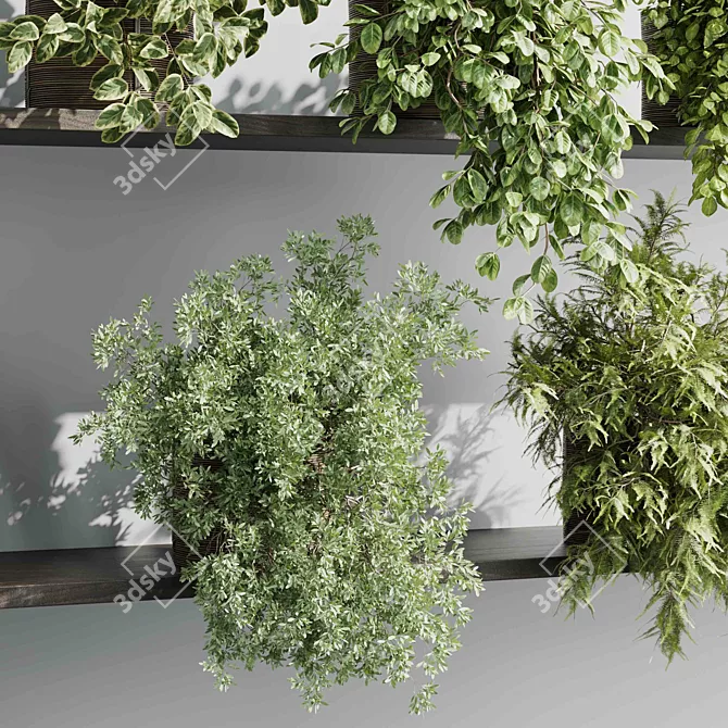 Hanging Plant Collection Indoor Decor 3D model image 5