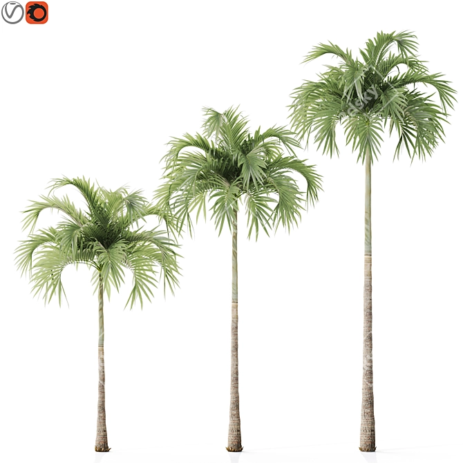 Tropical Christmas Palm Tree Model 3D model image 1