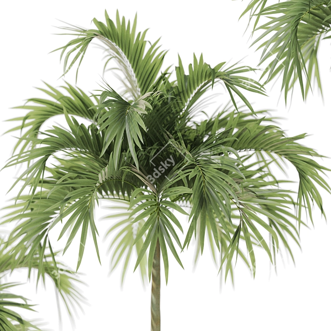 Tropical Christmas Palm Tree Model 3D model image 3