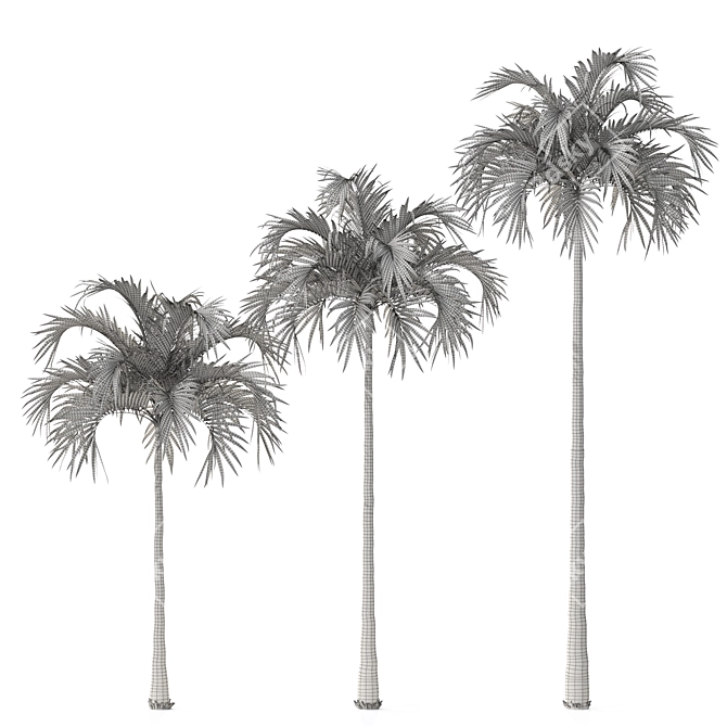 Tropical Christmas Palm Tree Model 3D model image 5