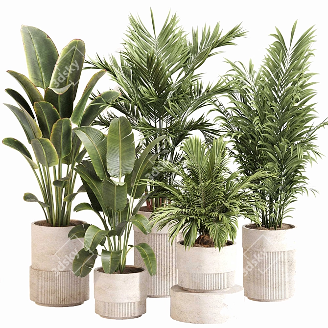 Green Oasis Indoor Plant Set 3D model image 1