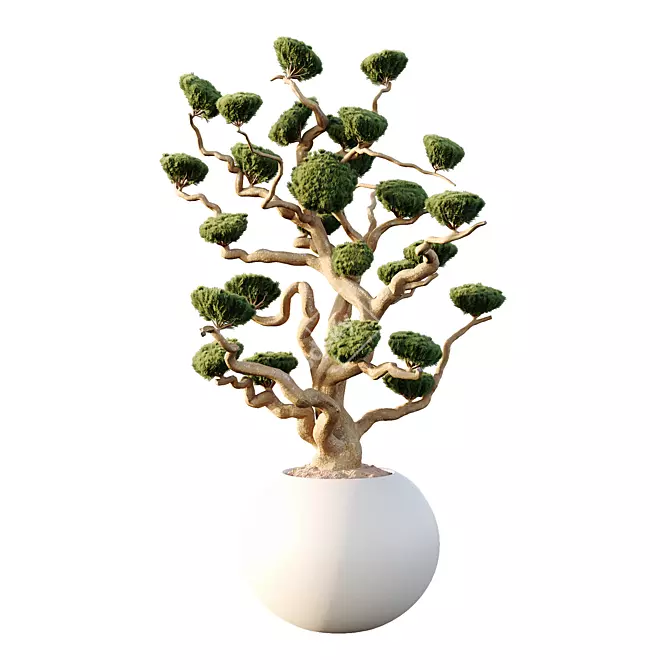 Luxury Potted Sphere Tree Model 3D model image 1