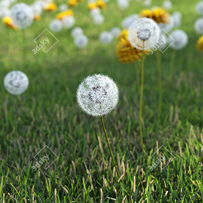 Meadow Bliss 3D model image 3