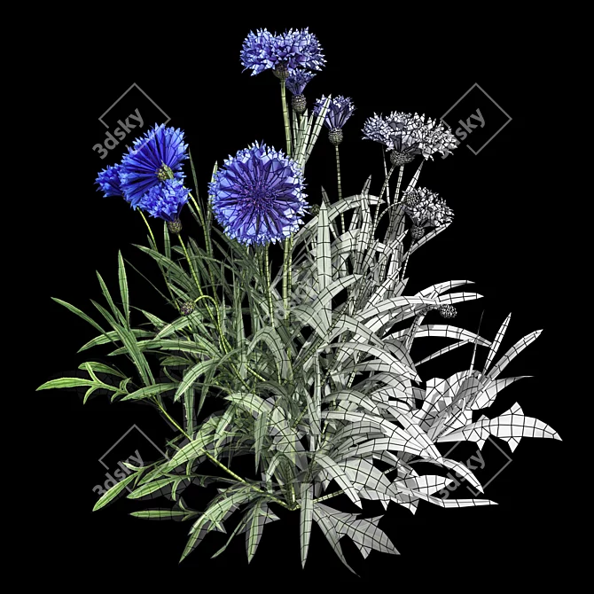 Centaurea 2018 Deluxe Flower Set 3D model image 5