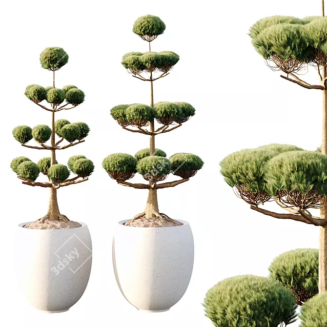 Sphere Tree 3D Models Set 3D model image 2