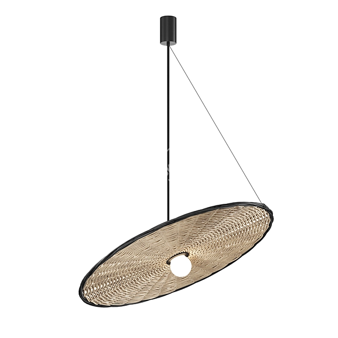 Rattan Diagonal Pendant Light Black 3D model image 1