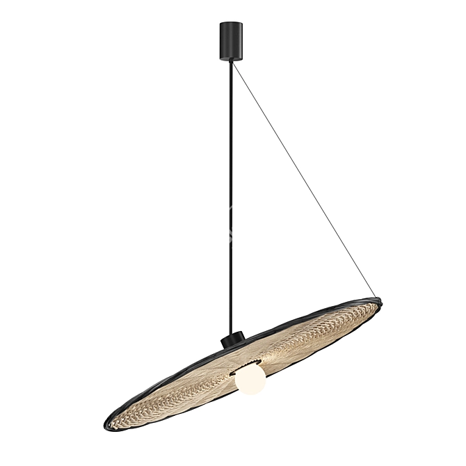 Rattan Diagonal Pendant Light Black 3D model image 2