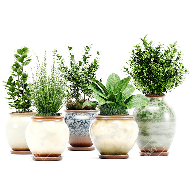  PBR Indoor Plant Set 3D model image 1