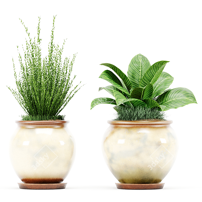  PBR Indoor Plant Set 3D model image 3