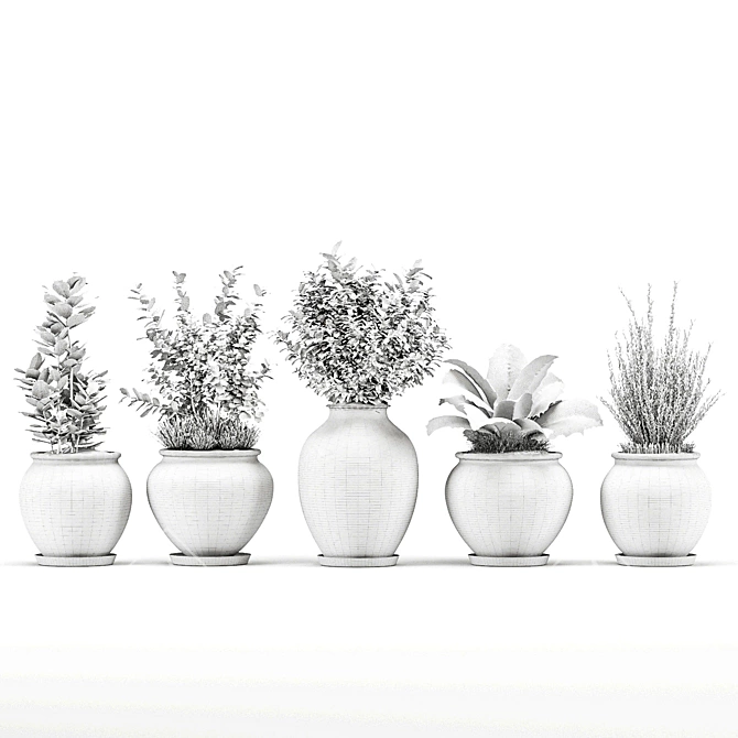  PBR Indoor Plant Set 3D model image 5