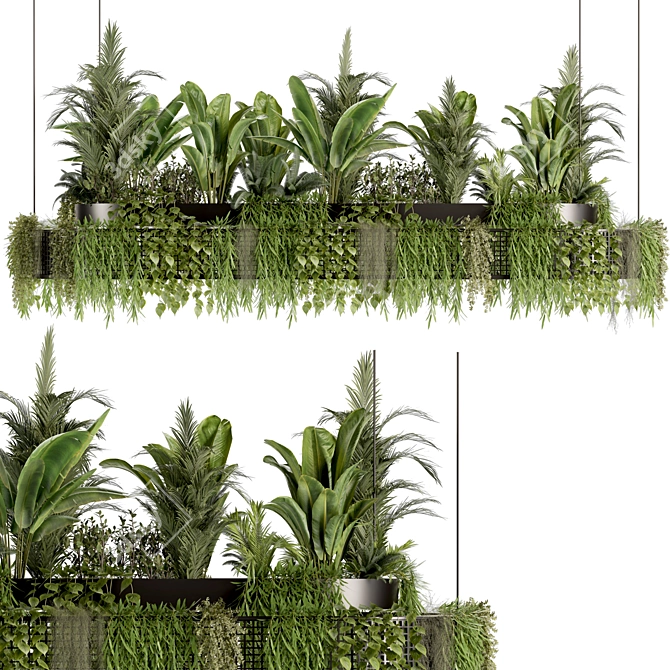 Premium Hanging Indoor Plant Set 3D model image 3