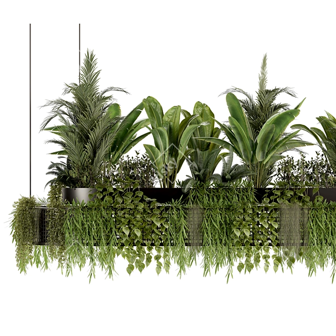 Premium Hanging Indoor Plant Set 3D model image 4