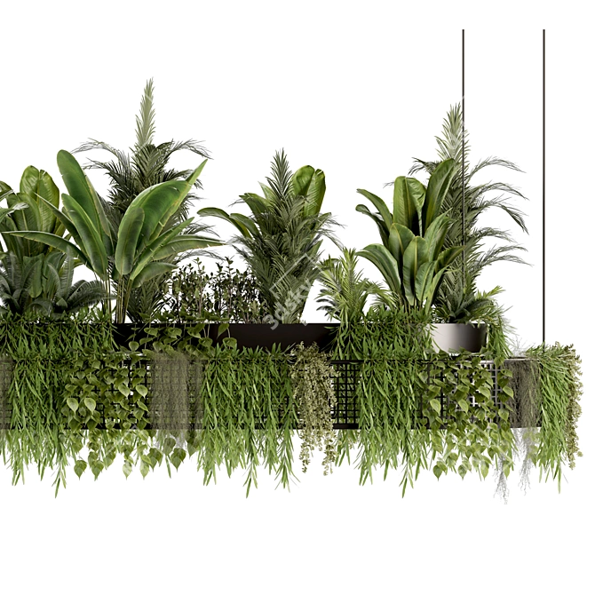 Premium Hanging Indoor Plant Set 3D model image 5