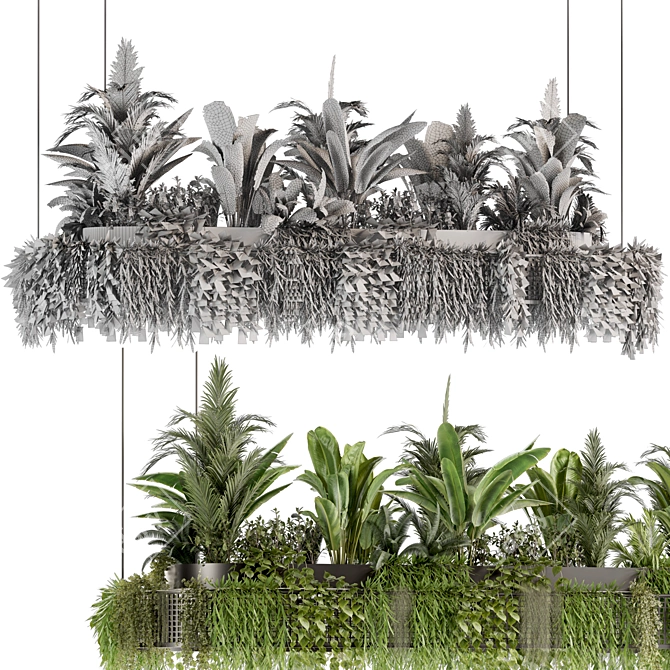 Premium Hanging Indoor Plant Set 3D model image 7