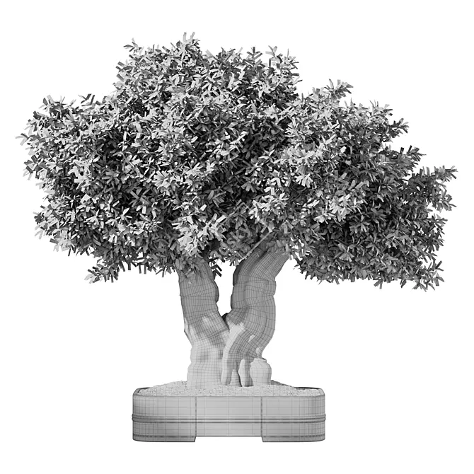 Zen Olive Bonsai Set.156 3D model image 5