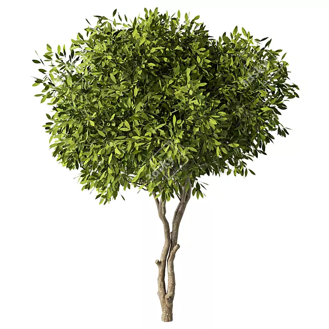 Sleek Modern Tree Sculpture 3D model image 1