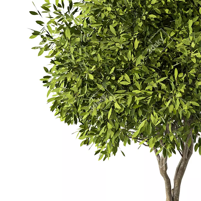 Sleek Modern Tree Sculpture 3D model image 2