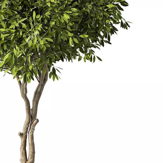 Sleek Modern Tree Sculpture 3D model image 3