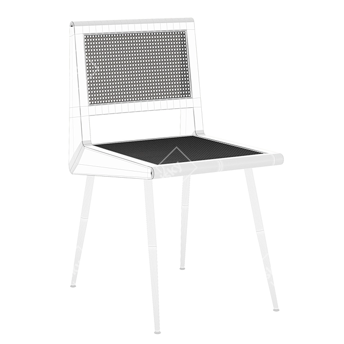 Rattan Dining Chair, Metal Legs 3D model image 2