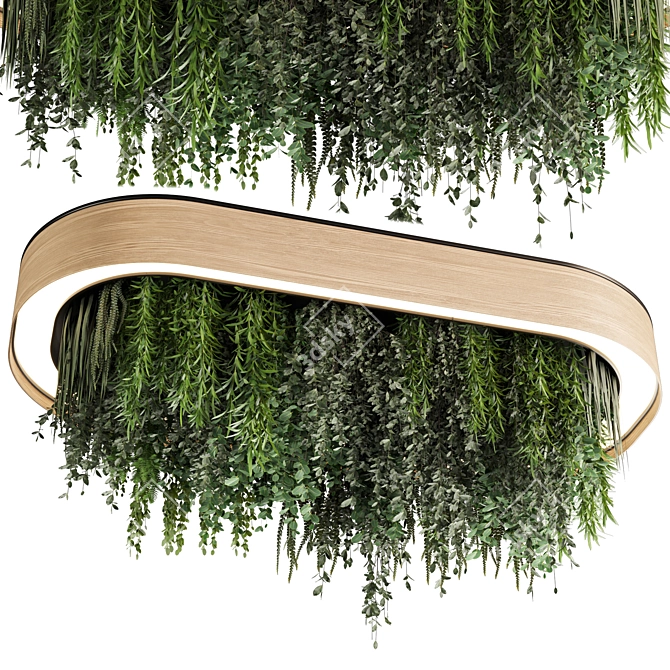 Premium Hanging Indoor Plant Set 3D model image 1