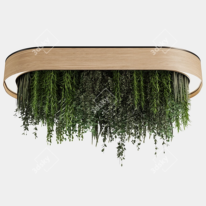 Premium Hanging Indoor Plant Set 3D model image 4