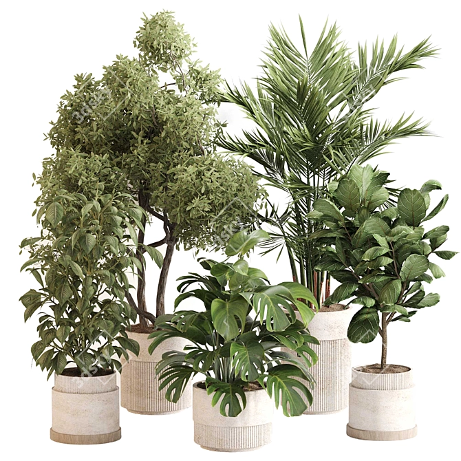 Sleek Indoor Plant Set 0119 3D model image 1