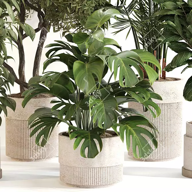 Sleek Indoor Plant Set 0119 3D model image 2