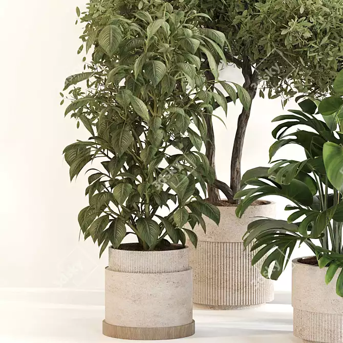 Sleek Indoor Plant Set 0119 3D model image 3