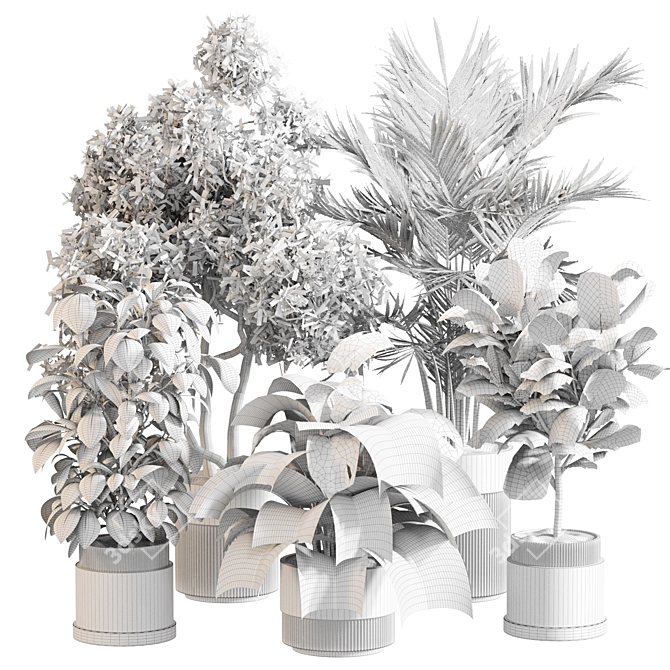 Sleek Indoor Plant Set 0119 3D model image 5