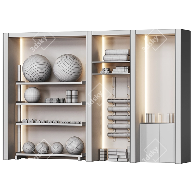  Proiron Gym Rack Wall Solution 3D model image 4