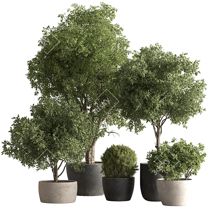 Grove Greenery 765 - Potted Tree 3D model image 1