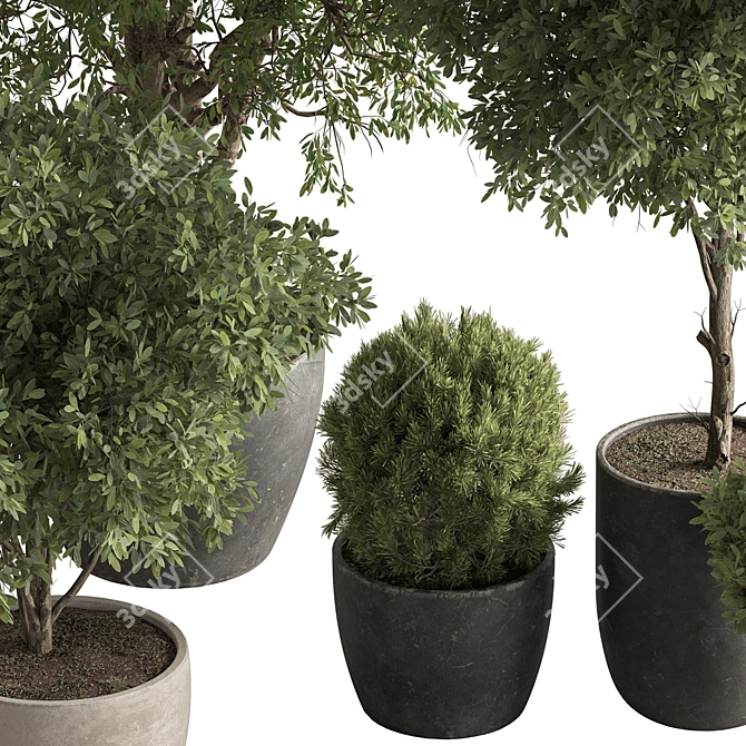 Grove Greenery 765 - Potted Tree 3D model image 4