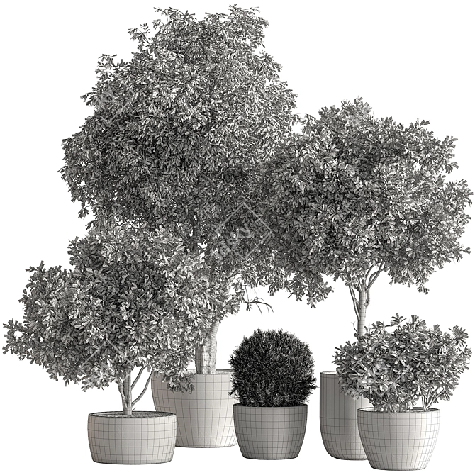 Grove Greenery 765 - Potted Tree 3D model image 5