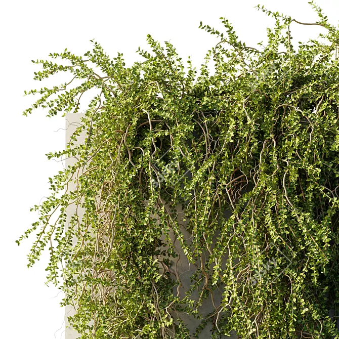 Outdoor Hanging Plant Collection 3D model image 2