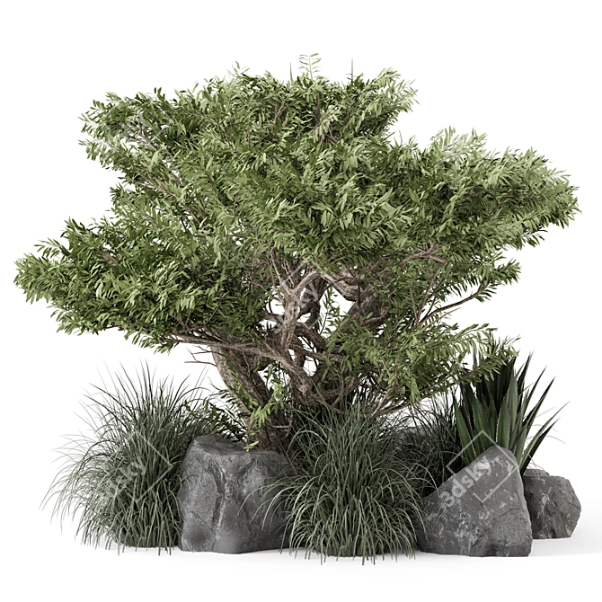 Outdoor Bush & Tree Garden Set 3D model image 1