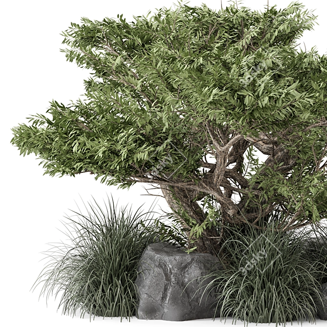 Outdoor Bush & Tree Garden Set 3D model image 2