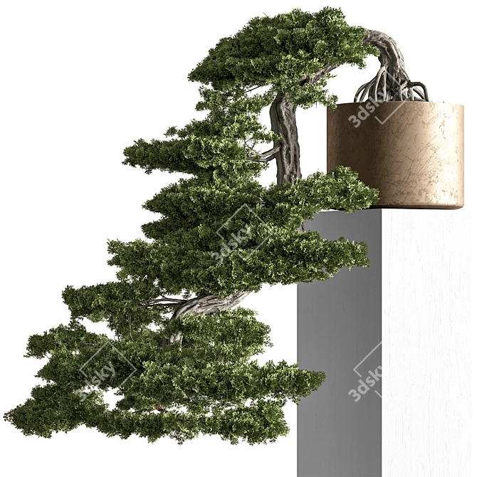 Bonsai Indoor Plant Set 3D model image 1