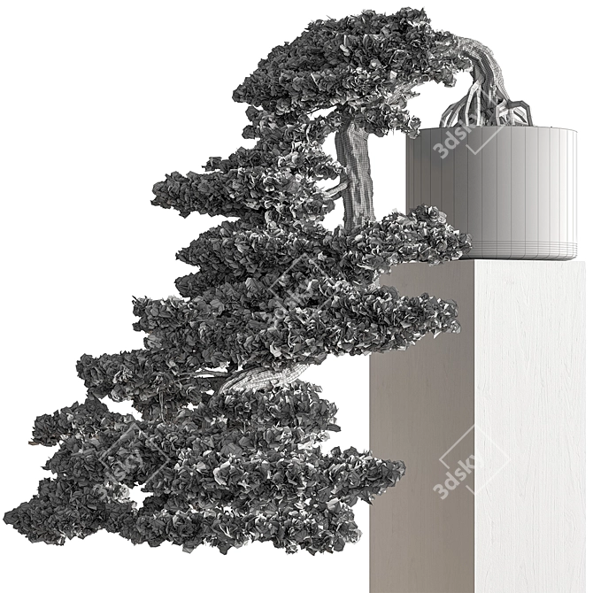 Bonsai Indoor Plant Set 3D model image 3