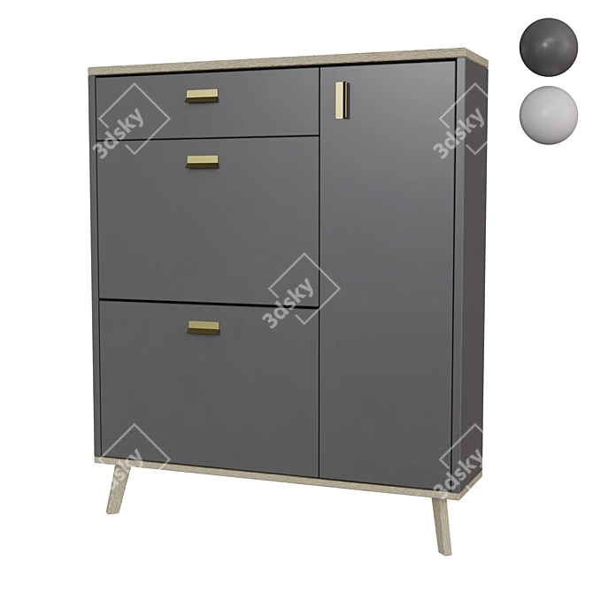 Nord Shoe Cabinet with Wood Legs 3D model image 1