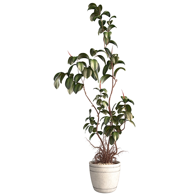 3D Plant and Decor Set 3D model image 2