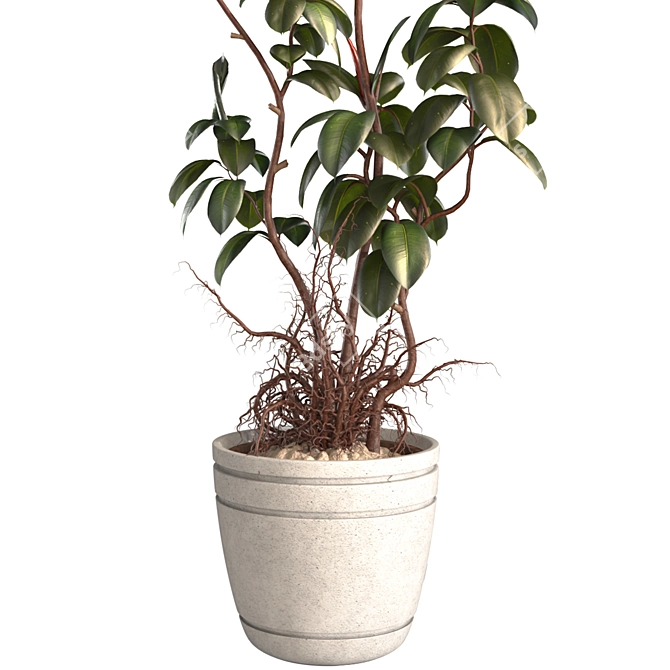 3D Plant and Decor Set 3D model image 4