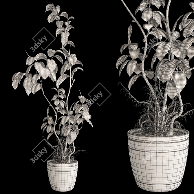 3D Plant and Decor Set 3D model image 7