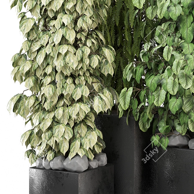 Outdoor Plants 3D Model Collection 3D model image 2